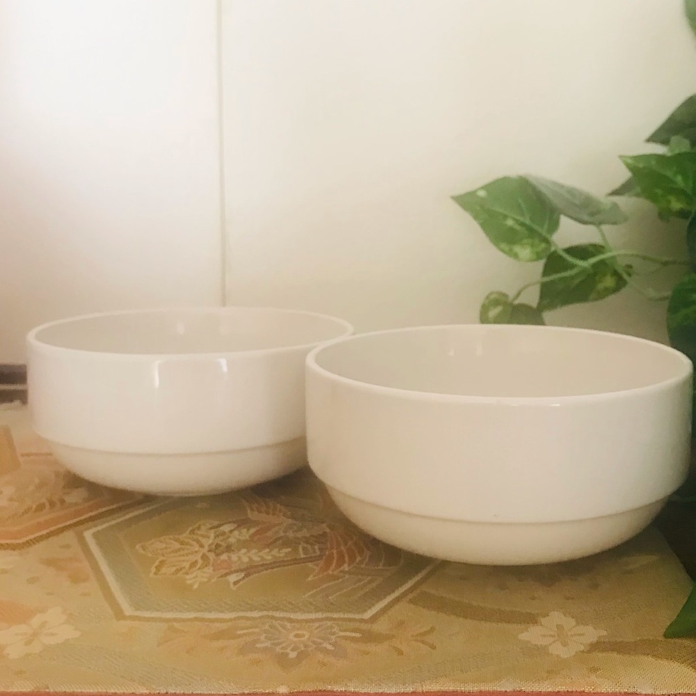 Bowl Dishes Set of Two